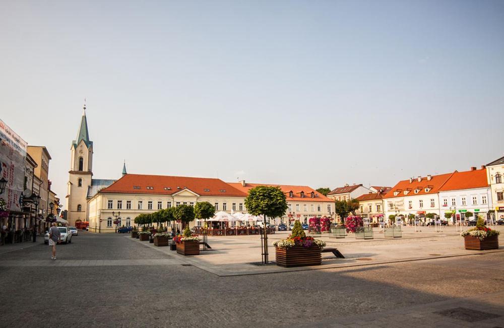 Apartament Bulwary Oswiecim Bagian luar foto